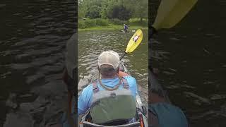 Angler Flips Kayak In River #shorts #youtubeshorts