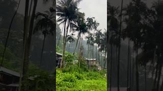 FOREST VILLAGE- CHAMAK DANGI.                                         #offbeat #rainyday #forest