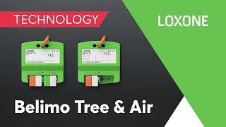 New: Belimo Tree & Air I 2022 I 4K