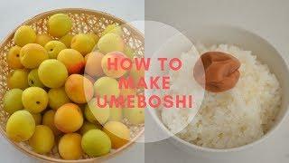 How to make UmeboshiEpic episode!〜梅干しの作り方〜(EP108)