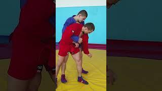 LEGLOCK from standing. Explanation. Transition to knee bar. Sambo academy #Shorts #sambo #judo #bjj