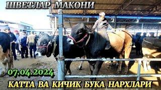 БУКАЛАР НАРХЛАРИ АНДИЖОН КУРГОНТЕПА ХАЙВОН БОЗОР 07.04.2024