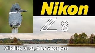 Nikon Z8 Wildlife Bird & Landscape Photography 180-600 & 24-70 Lenses