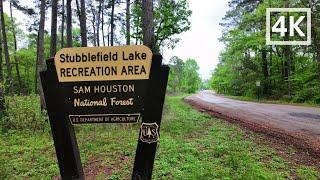 [4K] Stubblefield Campsite, Sam Houston National Forest