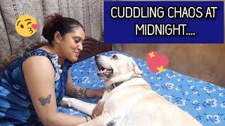 COCO & MUM HAVE CUDDLING TIME AT 3AM| WATCH HOW MUM CUDDLES COCO & ANGEL | ENJOY THE FUNNY VIDEO