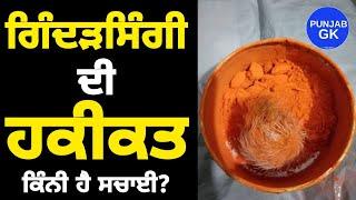 Gidar Singhi Ki haqeeqat | Gidar Singhi a Miracle Fraud | History of Gidar Singhi | Punjab GK