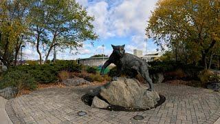 Walking Tour of the University of New Hampshire