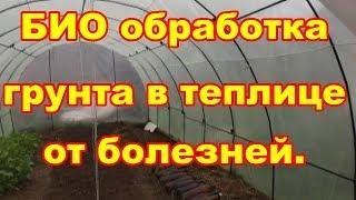 Что лучше фитоспорин или триходерма для обработки тепличного грунта