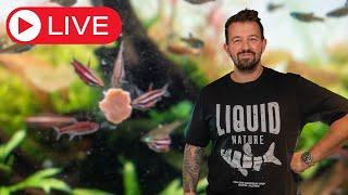 Aquascaping Q&A Livestream!