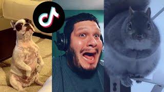 Damn Boi He Thicc Part 2 | Tik Tok Meme Compilation 2020