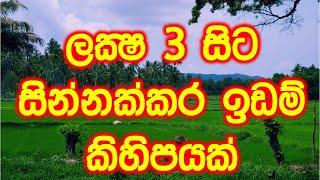 land for sale in kurunegala | real estate | land for sale | Luxury Sri Lanka | maddumaya