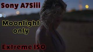 Sony A7Siii Extreme ISO video shot with ONLY MOONLIGHT