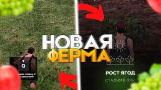 Новая ФЕРМА! Сильный Фикс Заработка на AMAZING ONLINE!