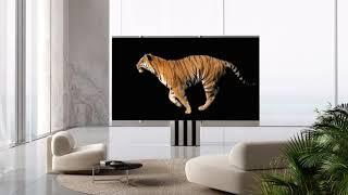 The C Seed M1 165 inch 4K  Rollable MicroLED TV