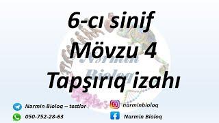 6-cı sinif mövzu 4 tapşırıq izahı