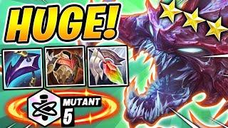 HUMONGOUS CHO'GATH CARRY! - TFT SET 6 Guide Teamfight Tactics BEST Comps Meta Ranked Build Strategy