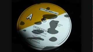 Tribesman - The Tribe/Dub & Finsbury Park/Dub