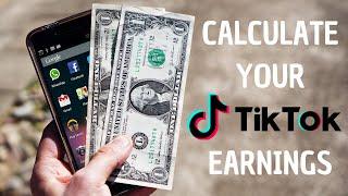 TikTok  - Calculate how much Money your Influencer Account could be Earning - Marketing Hub