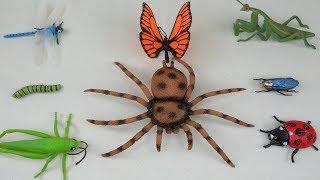 Wow! Look at these Insect and Bug Toys  