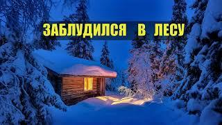 ИСТОРИИ из ЖИЗНИ в ТАЙГЕ ЗАБЛУДИЛСЯ в ЛЕСУ ВЫЖИТЬ СУДЬБА МЕДВЕДЬ ВЫЖИВАНИЕ ЖИЗНЬ в ДЕРЕВНЕ СЕРИАЛ