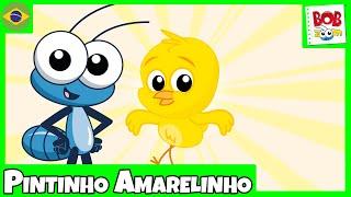 Pintinho Amarelinho - Bob Zoom |  Video Infantil Musical Oficial