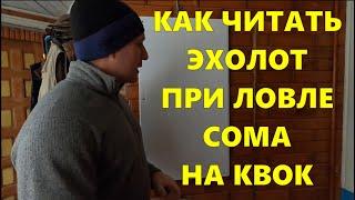 Как читать эхолот, при ловле сома на квок / #рыбалка #квок #сом #сомнаквок