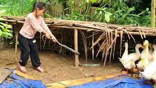 8-Year-Old Girl Harvests Luffa to Sell at Market - Gardening - Pet Care