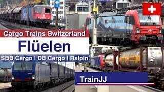 4K Freight Trains Switzerland | Flüelen - Gotthardbahn | SBB Cargo - DB Cargo - Hupac - Wetron - VTG