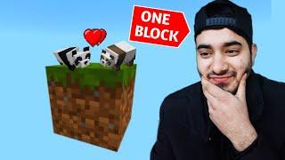 My Pandas are so happy after this.....(One Block Minecraft) #4