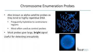 Fluorescence In Situ Hybridization (FISH): Methodology and Clinical Utility