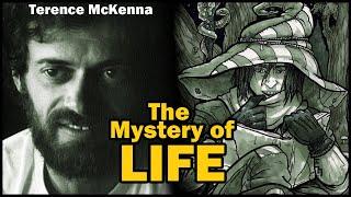 Terence McKenna Explains The Purpose of LIFE
