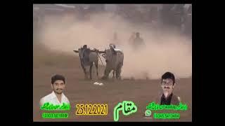 new bull race in makam //25-12-2021 //Zain mirza vlogs