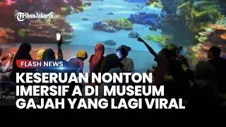 Sensasi Pengunjung Nikmati Wahana ImersifA yang Viral di Museum Gajah