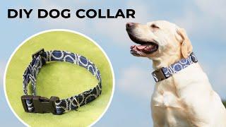 DIY Dog collar - How to Sew a Dog Collar in Just 10 minutes