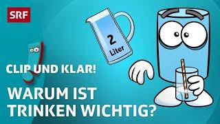 Clip und klar! – Warum müssen wir Wasser trinken? | Kindervideos | SRF Kids