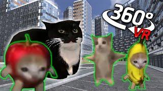 360° Happy Happy Happy Cat in CHASES YOU in CITY VR/4K