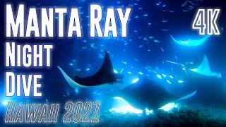 Night Dive with Manta Ray in Hawaii 4K