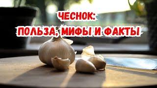 Чеснок: польза, мифы и факты