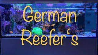 GERMAN CORAL SALTWATER REEF AQUARIUM from Eidr-aquaristics