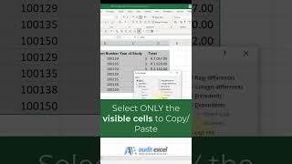 Select Visible cells tool built into Excel