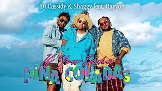 Shaggy & DJ Cassidy ft. Rayvon - If You Like Pina Coladas | Official Audio