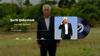 Qerib Qobustanli Ana Men Qeribem (Official Audio 2024)