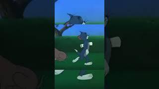 Tom and Jerry Funny shorts #meme #trollface #funny