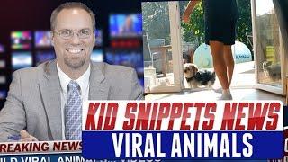 Kid Snippets News: "Viral Animals" (Imagined by Kids)