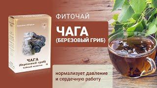 Фиточай « ЧАГА » ( березовый гриб ) от компании «ФИТОСИЛА»