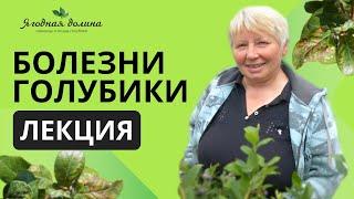 Болезни голубики. Лекция Татьяны Курлович на Международной выставке "Сады и ягоды" в г. Майкоп