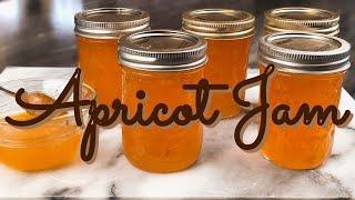 APRICOT JAM made with just FOUR ingredients