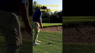 beauty with birds #golfing #golfswing #waitforit #passion #lifestyle #fyptiktok #fypシ #fypp #fypp