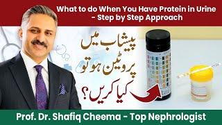 Protein in Urine or Proteinuria- A Step by Step Approach | What to do when you have foamy Urine