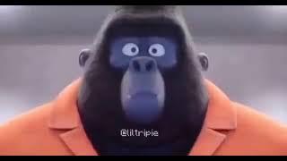 Monkey sex